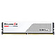 Avis G.Skill RipJaws S5 32 Go (2 x 16 Go) DDR5 5200 MHz CL40 - Blanc