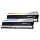 G.Skill Trident Z5 RGB 32 Go (2 x 16 Go) DDR5 5600 MHz CL36 - Argent Kit Dual Channel 2 barrettes de RAM DDR5 PC5-44800 - F5-5600U3636C16GX2-TZ5RS