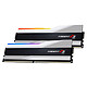 G.Skill Trident Z5 RGB 32GB (2 x 16GB) DDR5 6400 MHz CL30 - Silver . PC5-51200 Dual Channel 2-Slot DDR5 RAM Kit - F5-6400J3039G16GX2-TZ5RW.