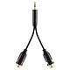 Belkin Câble adaptateur audio RCA/jack 3.5 mm - 10 cm Câble adaptateur audio RCA/jack 3.5 mm avec contacts dorés - 10 cm