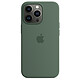 Apple Silicone Case with MagSafe Eucalyptus Apple iPhone 13 Pro Coque en silicone avec MagSafe pour Apple iPhone 13 Pro
