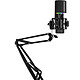 Streamplify Mic Arm USB microphone - cardioid - 2 audio output modes - mute function - RGB backlight - pop filter - mounting arm