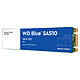 Western Digital SSD WD Blue SA510 250 Go - M.2 SSD 250 Go M.2 2280 SATA 6 Gbps NAND 3D TLC (WDS250G3B0B)