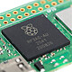 Scheda Raspberry Pi