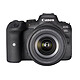 Canon EOS R6 Mark II + 24-105 mm f/4-7.1 IS STM Fotocamera ibrida Full Frame da 24,2 MP - Video 4K 60p - AF CMOS Dual Pixel II - 40 fps - LCD touch screen da 3" - Wi-Fi/Bluetooth + obiettivo RF 24-105 mm f/4-7.1 IS STM