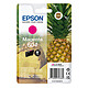 Epson Ananas 604 Magenta - Cartouche d'encre Magenta (2.4 ml / 130 pages)