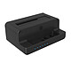 ICY BOX IB-2914MSCL-C31 Docking station for 2.5"/3.5" HDD and SSD M.2 PCI-E NVMe on USB 3.1 Type C port