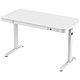 REKT RGo Desk Office (Blanc/Blanc) - Bureau pour gamer - longueur 120 cm - profondeur 60 cm - hauteur réglable électriquement 72-122 cm - plateau en bois - structure en métal - tiroir de rangement - 1x USB + 1x USB-C