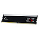 Buy G.Skill Zeta R5 128GB (8 x 16GB) DDR5 ECC Registered 6000 MHz CL30.