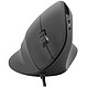 Speedlink Piavo Ergonomic wired mouse - right-handed - 2400 dpi optical sensor - 5 buttons