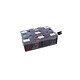 Eaton EB002SP Eaton Easy Battery+ - Batterie de remplacement 72 V, 12 x 6 V/9 Ah, pour EX, Pulsar M, 5PX, 5130, Evolution S