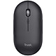 Trust Puck (Black) Ultra-flat wireless mouse - right-handed - RF 2.4 GHz - 1600 dpi optical sensor - 4 buttons