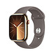 Apple Watch Series 9 GPS + Cellular in acciaio inossidabile Gold Sport Band Clay M/L 45 mm Orologio connesso 4G LTE - Acciaio inossidabile - Impermeabile - GPS - Cardiofrequenzimetro/ECG/SpO2/Temperatura - Display OLED Retina Always On - Wi-Fi 4 / Bluetooth 5.3 - watchOS 10 - Cinturino sportivo da 45 mm