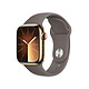 Apple Watch Series 9 GPS + Cellular in acciaio inossidabile Gold Sport Band Clay M/L 41 mm Orologio connesso 4G LTE - Acciaio inossidabile - Impermeabile - GPS - Cardiofrequenzimetro/ECG/SpO2/Temperatura - Display OLED Retina Always On - Wi-Fi 4 / Bluetooth 5.3 - watchOS 10 - Cinturino sportivo da 41 mm