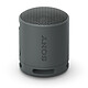 Sony SRS-XB100 Black Mono wireless nomad speaker - Bluetooth 5.3 - 16h battery life - USB-C - Built-in microphone - Waterproof IP67