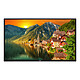 Vestel 32" LED - EL32D-1SU Ecran 1920x1080 pixels 16:9 - VA - Dalle brillante, Haze 3% - 450 cd/m² - 35000:1 - 9.5 ms - Android OS - HDMI - Haut-parleurs intégrés 2x 6 W - 24/7 - Noir