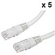 Paquete de 5 cables RJ45 categoría 6 U/UTP de 3 m (Beige) Paquete de 5x Cables de Red Cat 6