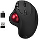 Mobility Lab Rechargeable Wireless Trackball Mouse Ergonomic wireless mouse - trackball - RF 2.4 GHz - right-handed - 1600 dpi sensor - 6 buttons