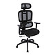 Oraxeat RG600 Black. Gaming chair with integrated lumbar support, mesh seat and 3D armrests (up to 120 kg).