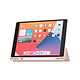 Avis MW Folio SlimSkin iPad Pro 11 (M4 2024) - Rose