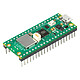 Raspberry Pi Pico WH Carte de programmation ultra compacte avec processeur RP2040 Dual-Core - RAM 264 Ko - Wi-Fi N