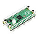 Custodia per Raspberry Pi Pico . Custodia in acrilico trasparente per Raspberry Pi Pico.