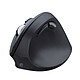 Souris PC