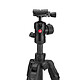 Acheter Manfrotto Befree Advanced AS - MKBFRTC4FB-BH Carbone/Rouge