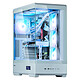 Acheter Zalman P50DS White