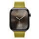 Avis Apple Bracelet Boucle Moderne Chartreuse 42 mm - L