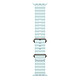 Apple Ocean Strap Glacier Blue Natural Titanium Finish per Apple Watch 49 mm Ocean Strap con finitura in titanio per Apple Watch 44/45/46/49 mm