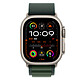 Avis Apple Boucle Alpine Vert Foncé Finition Titane Naturel pour Apple Watch 49 mm - L