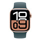 Avis Apple Bracelet Sport Vert Lacustre 42 mm - M/L