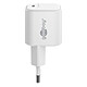 Review Goobay PD GaN Nano 45W USB-C Rapid Charger (White).