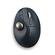 Kensington Pro Fit Ergo TB550. Wireless trackball - right-handed - 1600 dpi optical sensor - 9 buttons - 4D wheel.