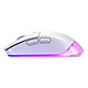 Souris PC