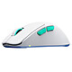 Souris PC