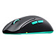 Souris PC