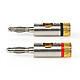 Nedis Set of 2 Gold Plated Banana Connectors . Set of 2 male to female banana connectors - cable entry diameter 3.0 mm.