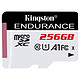 Kingston Endurance SDCE/256GB Carte mémoire Micro SDXC UHS-I U1 Classe 10 A1 256 Go