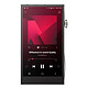 Astell&Kern A&Futura SE300 Baladeur audiophile - 256 Go - DAC R-2R - écran tactile de 5.46" - Bluetooth 5.0 aptX HD/LDAC - Wi-Fi - port microSD - USB-C