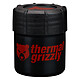 Thermal Grizzly Putty Pro (30 grammes) pas cher