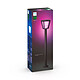 cheap Philips Hue Econic Outdoor Floor Lamp