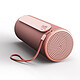 Enceinte portable