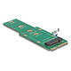 DeLock Adaptateur mSATA vers M.2 Key B Adaptateur mSATA vers M.2 Key B