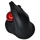 Trackball Vertical Mouse Trackball ergonomique vertical sans fil à 5 boutons - droitier