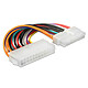 DeLock Câble ATX 24 broches vers ATX 20 broches Câble adaptateur ATX 24 broches femelle vers ATX 20 broches mâle