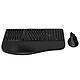 Mobility Lab Ergo C30W (Black) Wireless keyboard/mouse pack - Ergonomic wireless keyboard - Bluetooth and RF 2.4 GHz - concave keys - palm rest - numeric keypad (AZERTY French) + Ergonomic wireless mouse - right-handed - 2400 dpi sensor - connection via USB-A