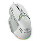 Souris PC