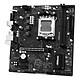 Acheter ASRock A620AM-HVS